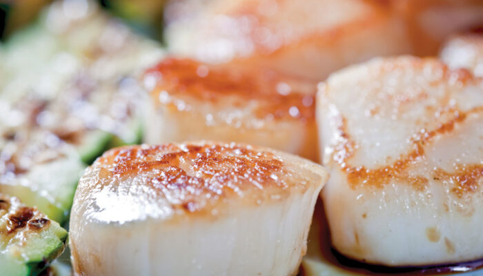 scallop